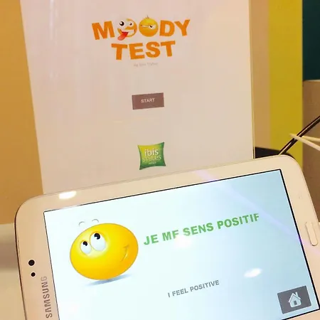 Hotel Ibis Styles Centre Historique